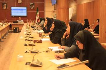 کارگاه استاندارد خدمات توانبخشی